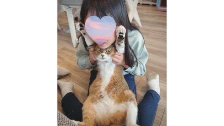 抱っこされている猫