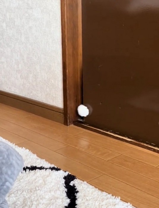 猫の手