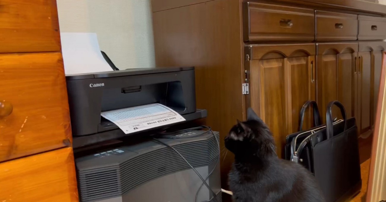 コピー機を見るこねろくくん