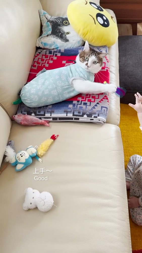 おもちゃを掴むキジ白猫とおもちゃに手を伸ばす赤ちゃん