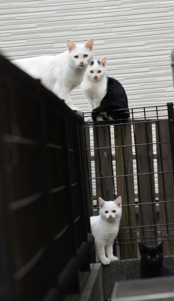 おもちちゃんと子どもたち