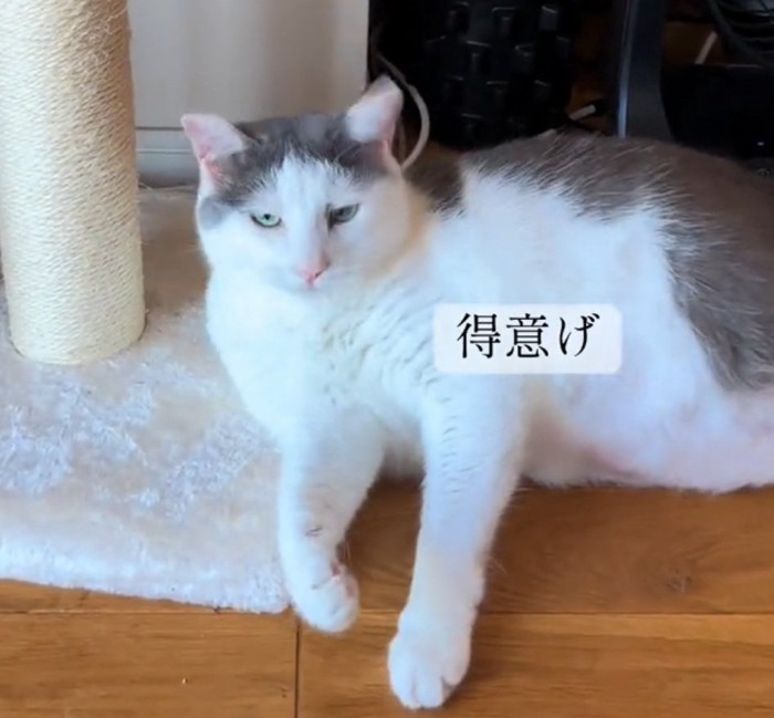 得意げなおでんちゃん