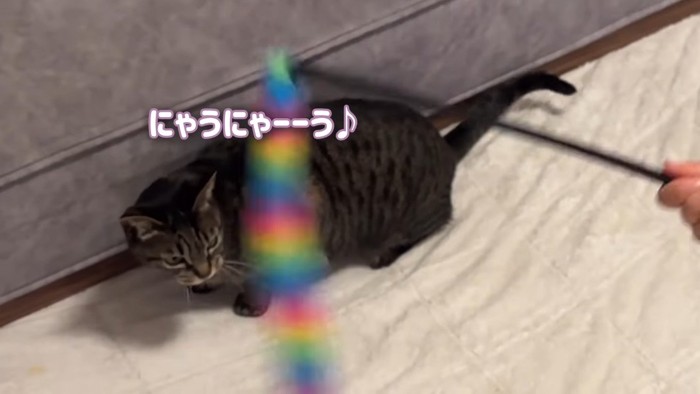 にゃうにゃーーう♪