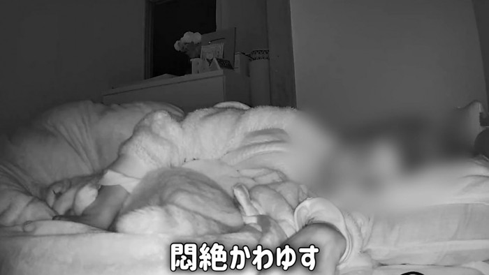 顔を隠す猫