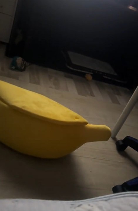 ペット用バナナベッド