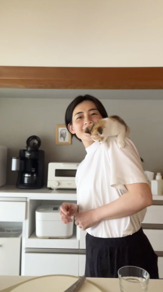 女性の肩の上で方向転換する子猫