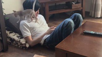 男性の肩を歩く猫