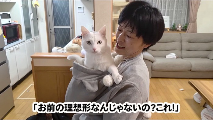 女性が着ているパーカーのフードから顔を覗かせる猫