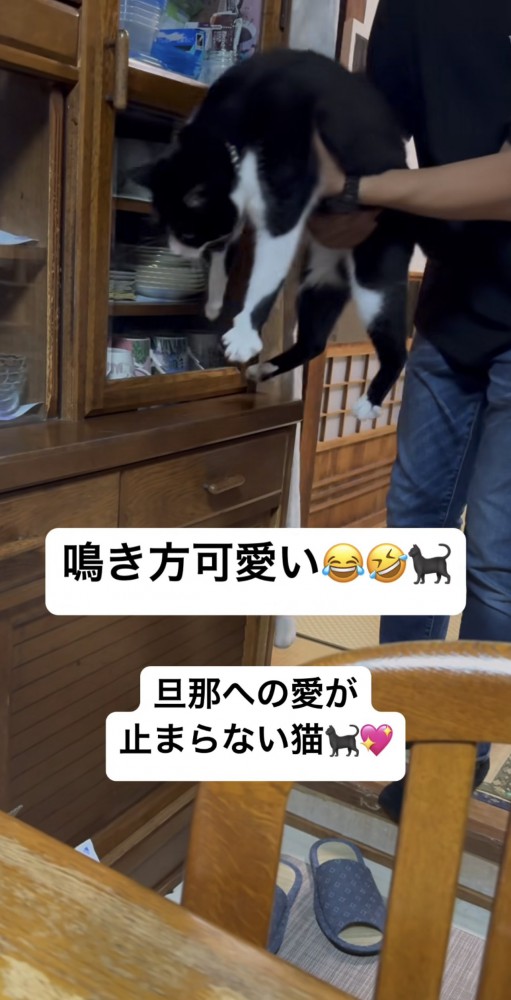 置かれるイチくん