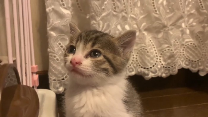 とろんとした表情