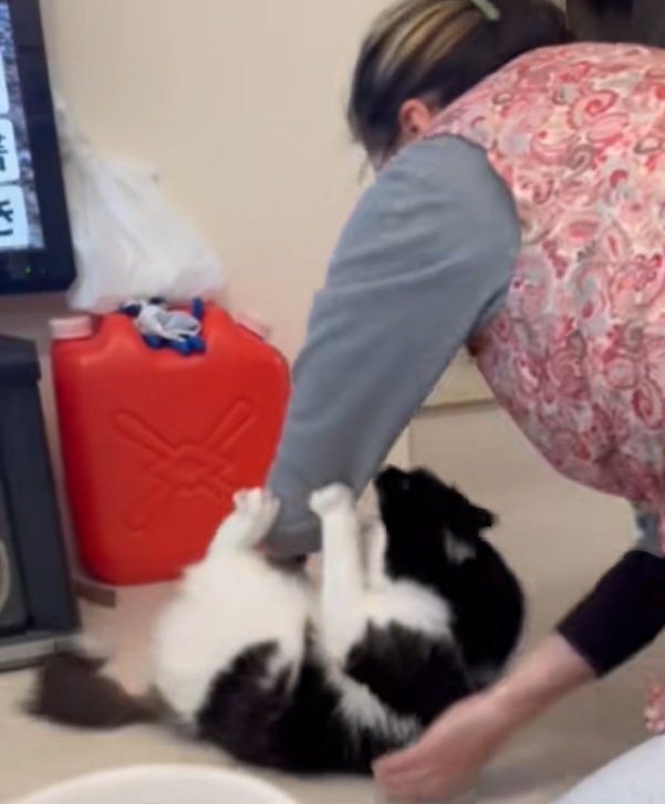 最後の抵抗をするオレオくん