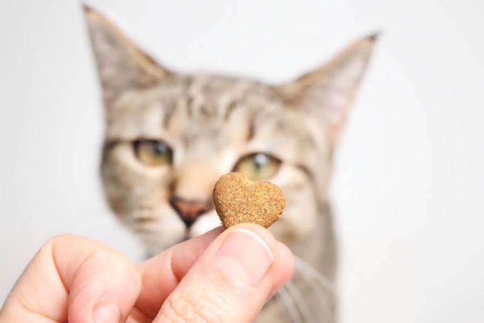 ハート型のおやつ