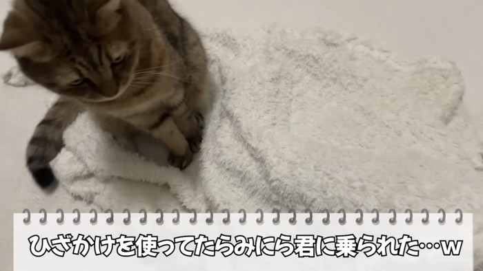 「ひざかけを使ってたら...」のテロップ写真