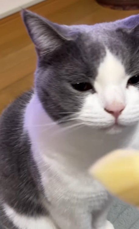 リンゴを見るそらくん