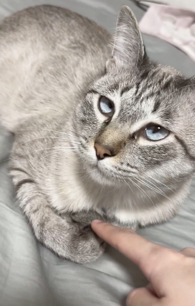 おててに指を置く