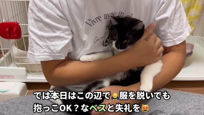 テロップ「では本日は～」%分弱の動画は、ベスちゃんの抱っこ映像に結ばれました