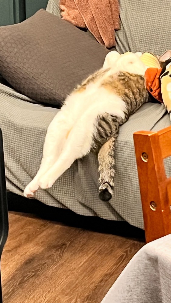 伸ばした後ろ足