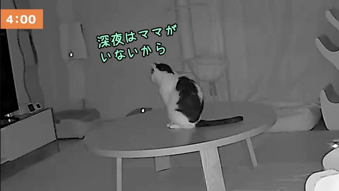 ママがいないから