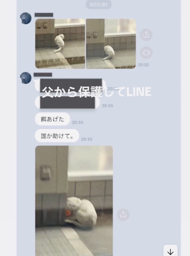 お父さんから送られてきたメッセージと写真