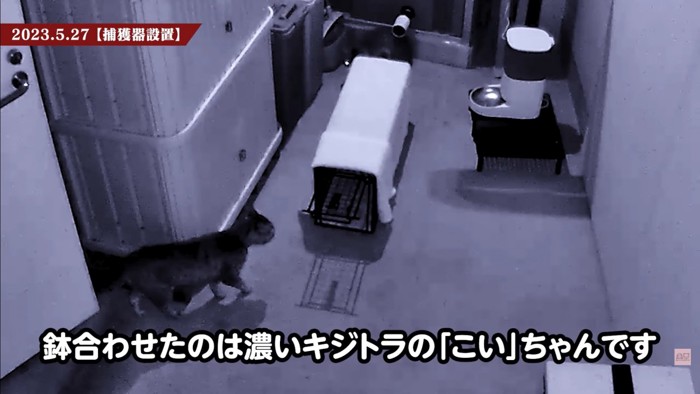 テロップ「鉢合わせたのは~」