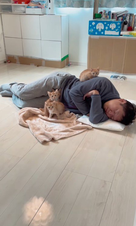 寝ているパパさんと4匹の猫