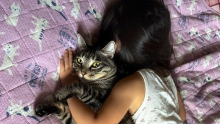 猫を抱いている女の子