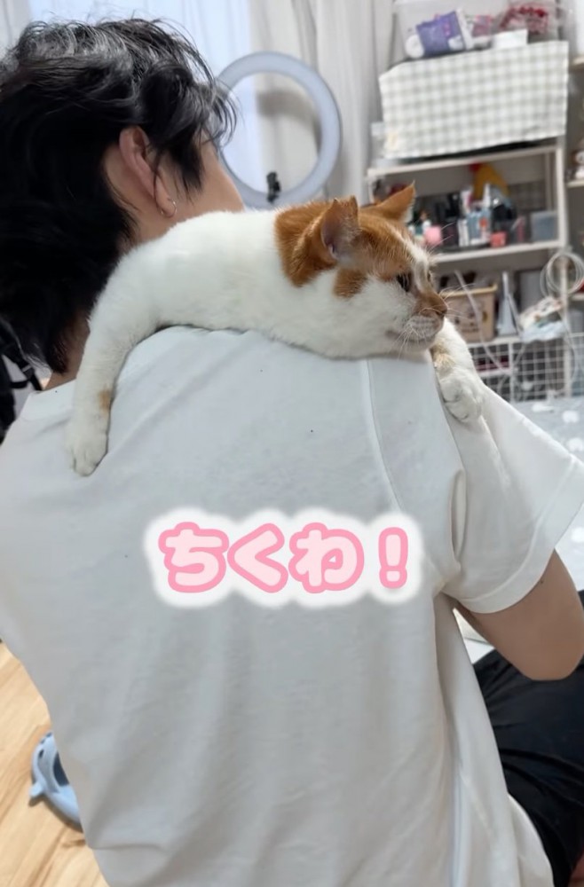 肩にもたれかかる猫