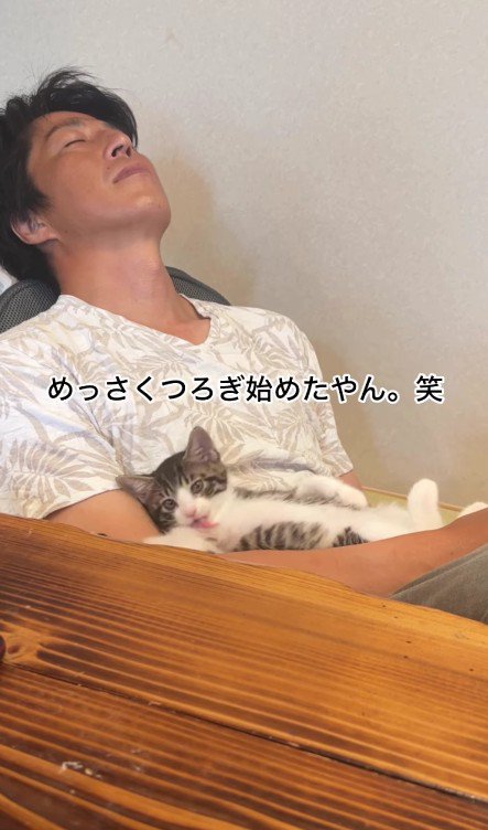 パパさんの上でくつろぐ子猫