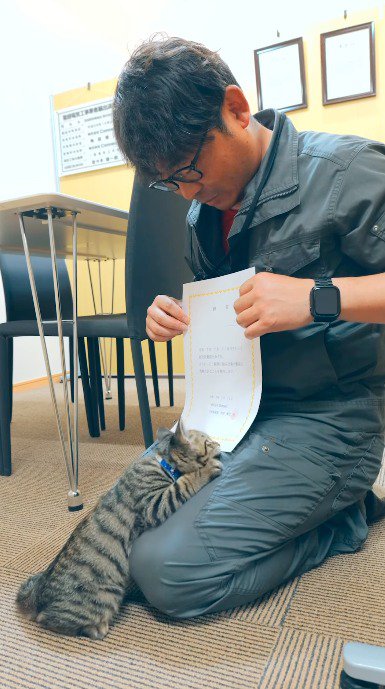 社長が読み上げている紙に噛みつく子猫