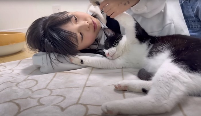 左手を女の子に持ち上げられる猫