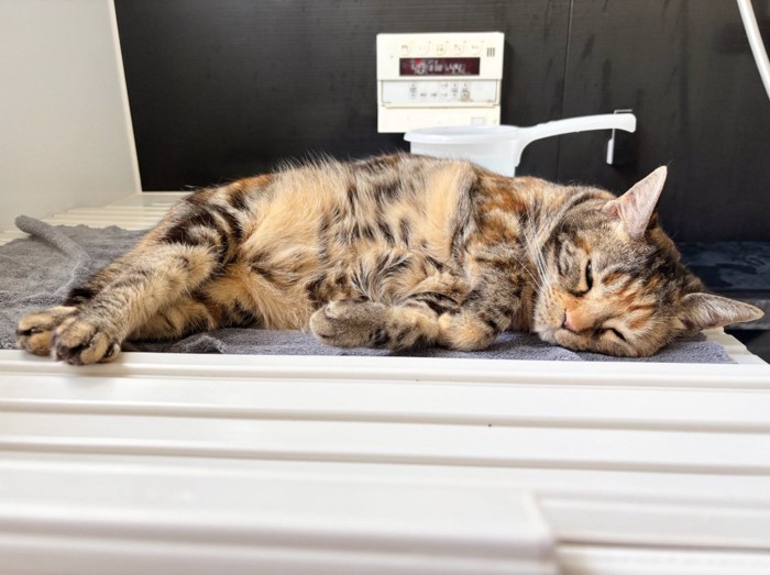 風呂の付き添い