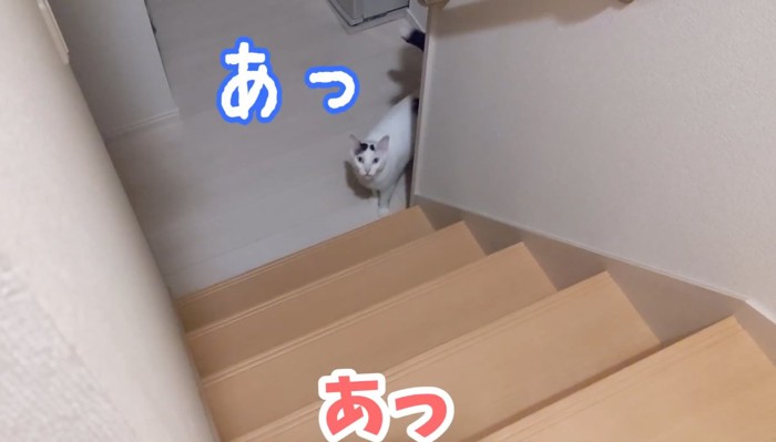 あっあっ