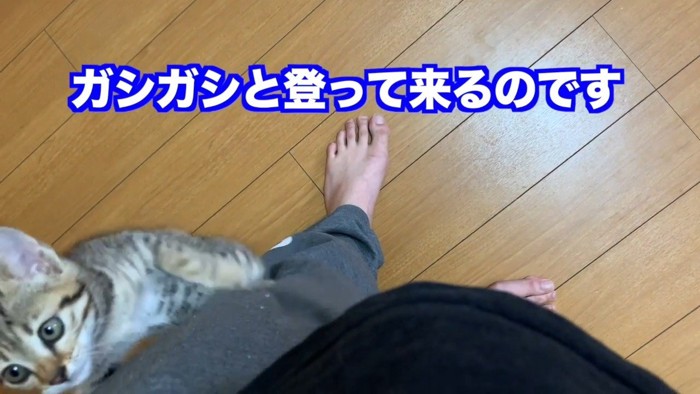 ガシガシと(さらに近くに)