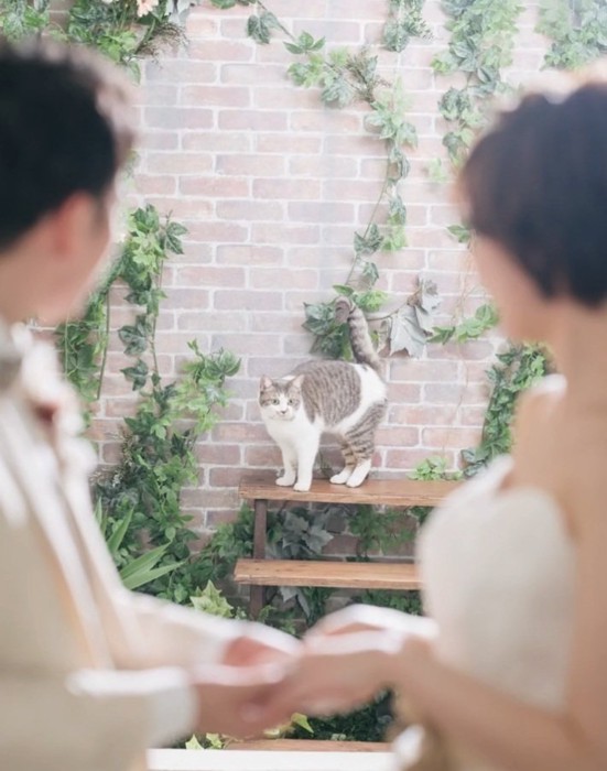 ウエディングフォトを見守るノリスちゃん