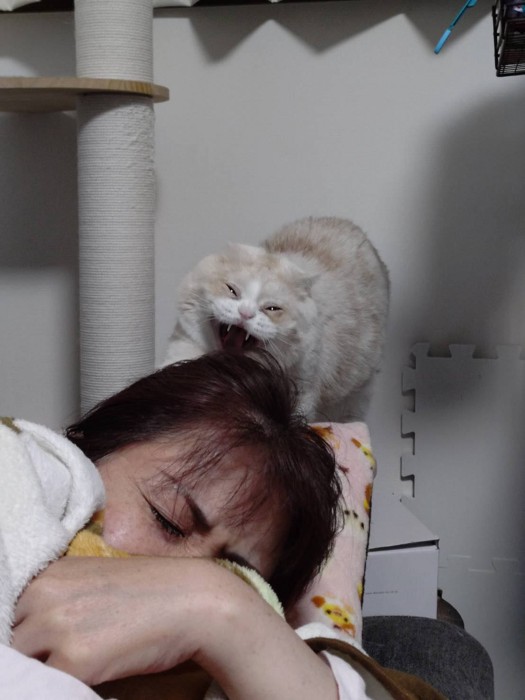 眠っている女性と猫