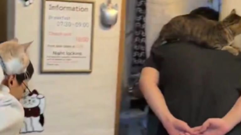 猫を背に乗せている男性