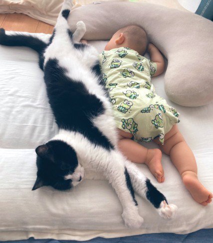 添い寝する赤ちゃんと猫