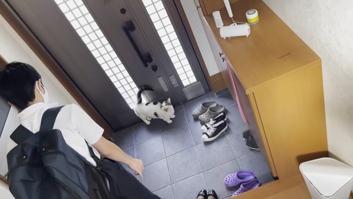 夏服の姿(制服)の息子さんととドア前で鳴く白黒猫ちゃん