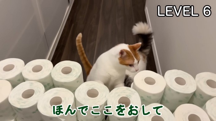 真ん中から押していく師匠