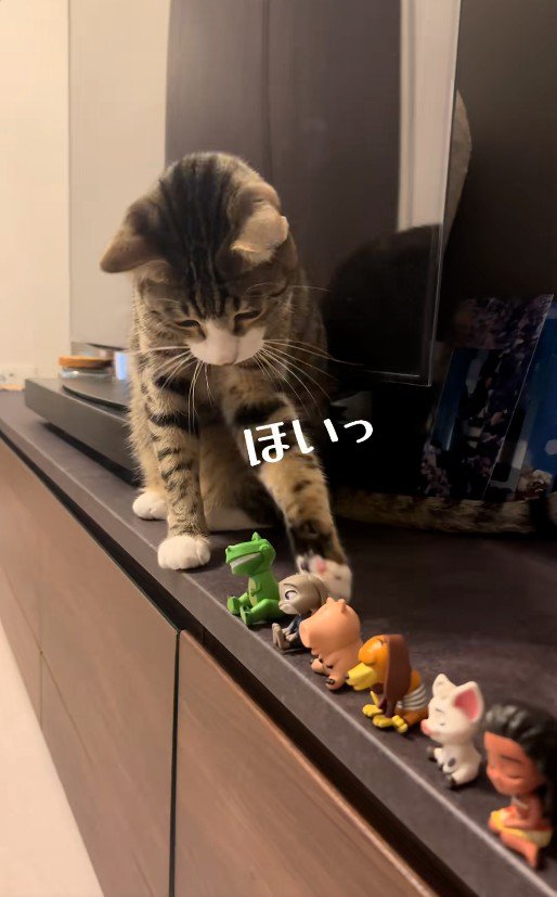 フィギュアを前足で落としている猫