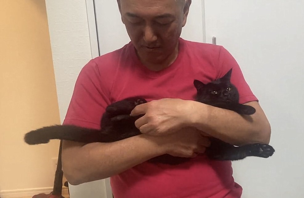 横向きに抱っこされる猫の写真1