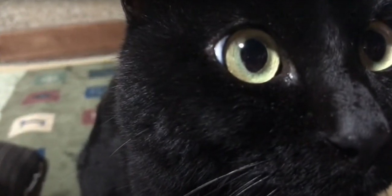 カメラにドアップな天くん