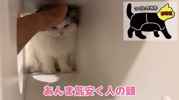 嫌がるつくしちゃん