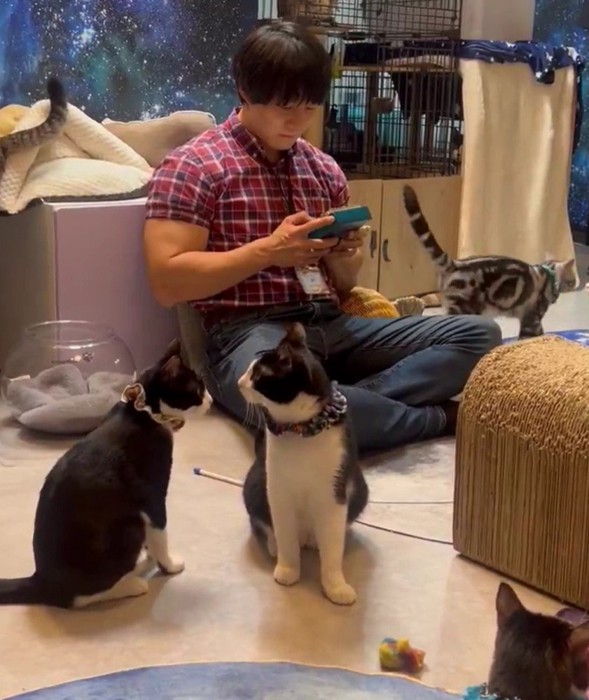 青木マッチョさんと猫たち