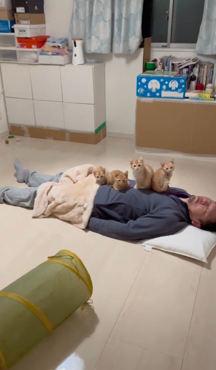 おなかに猫をのせるパパさん
