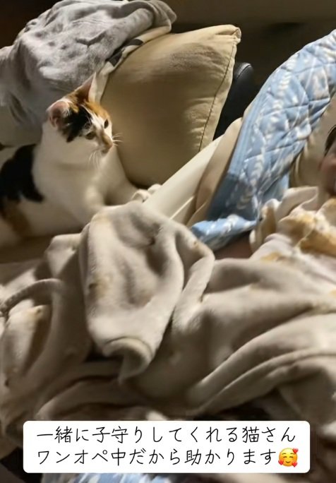 赤ちゃんがいるベビーベッドに手をかけているミケ猫