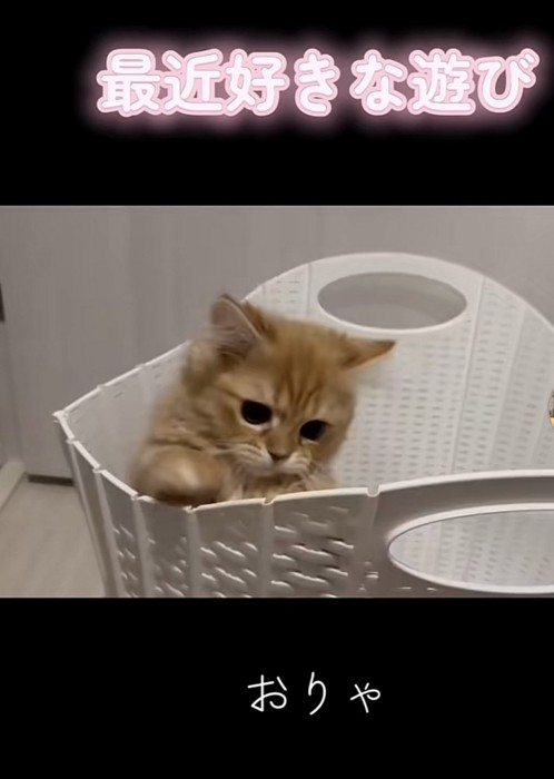 「おりゃ」のテロップ写真1