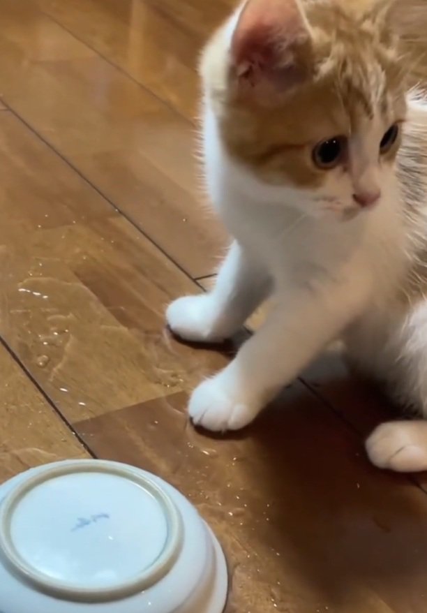 上目遣いののんちゃん