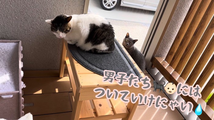 テロップ「男子たちには～」