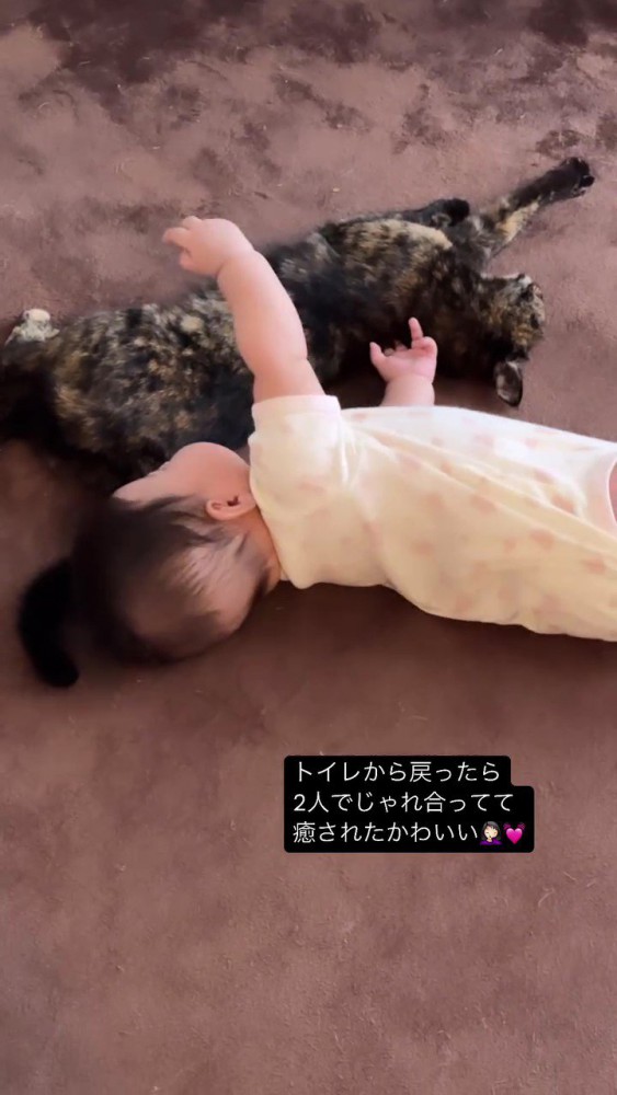 寝ている赤ちゃんと猫